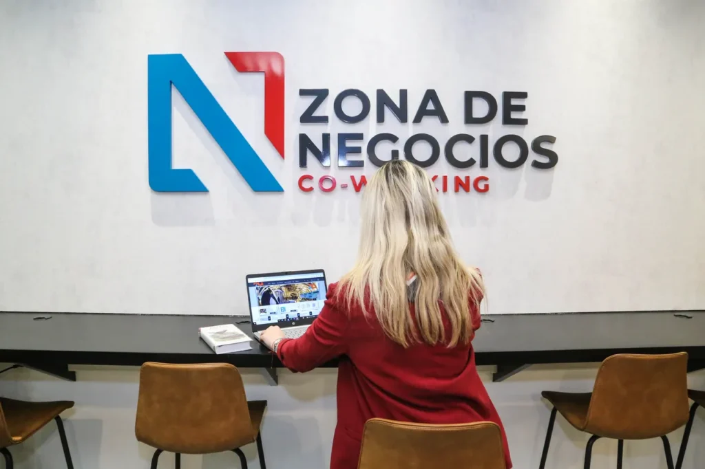 zona de negocios zona austral-11