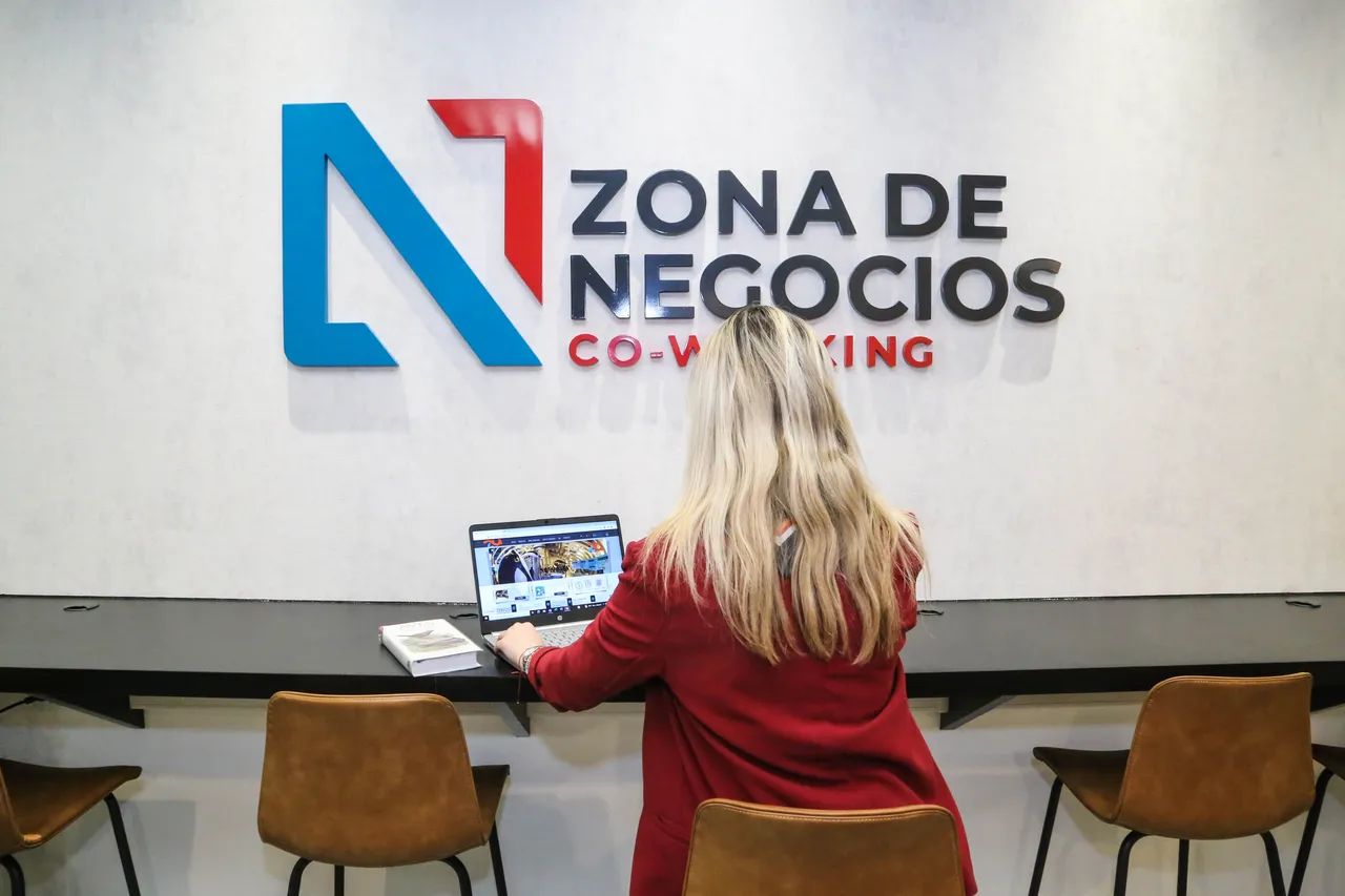 zona de negocios zona austral-11