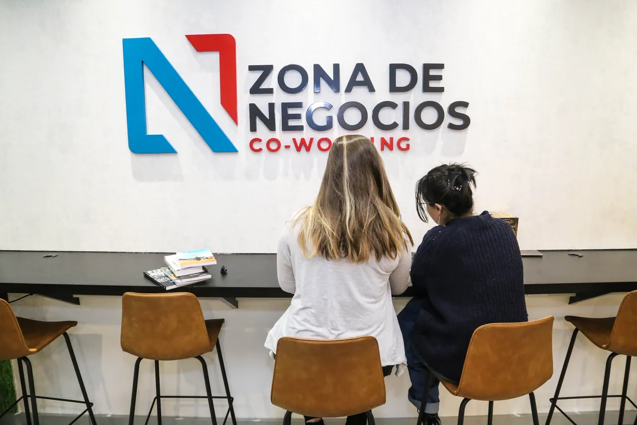 zona de negocios zona austral-12