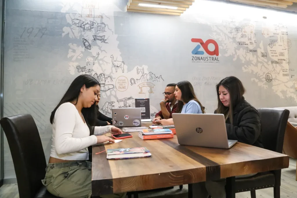 zona de negocios zona austral-23