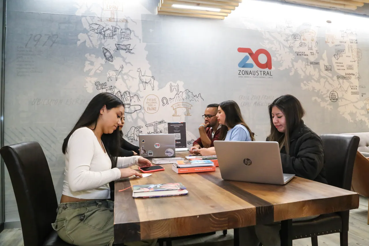 zona de negocios zona austral-23