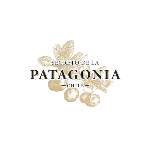 logo secreto de la patagonia
